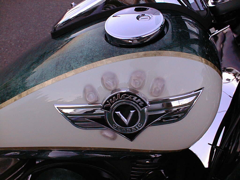 JPEG image