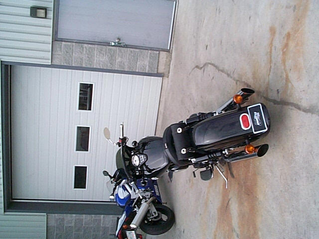 JPEG image